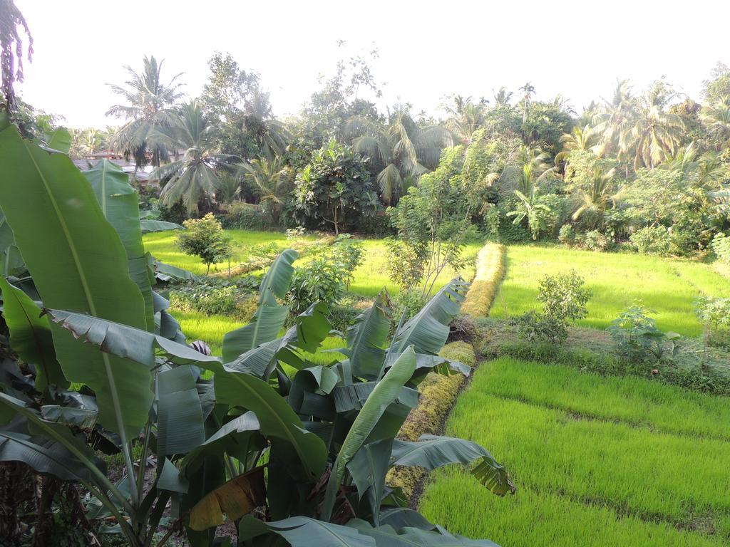 Arana Bungalow Galle Ngoại thất bức ảnh